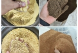 飼料原料驗(yàn)收的“望、聞、問、切”